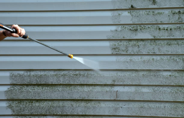 Best Best Pressure Washing Companies  in Pontotoc, MS