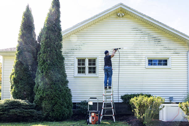 Best House Pressure Washing  in Pontotoc, MS